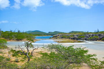 Landscape of Washington-Slagbaai National Park in Bonaire, Caribbean island. 