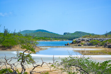 Obraz premium Landscape of Washington-Slagbaai National Park in Bonaire, Caribbean island. 