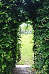 Obraz premium Passage way in an ornate garden landscape 