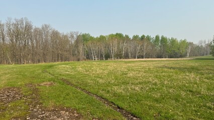 Obraz premium Spring field and tree line woods during early May in Northern Minnesota with a cow path