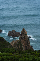 Wildflower from with the view of Praia da Ursa beach and Cabo da Roca, Sintra, Portugal. Cloudy day with fog, with mysterious weather. Atlantic Ocean coastal landscape