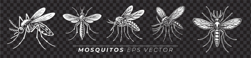Ilustrações de Mosquito, vetor EPS, mosquito da dengue em diferentes estilos