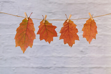 Homemade garland of colored autumn leaves. Dry leaves hanging on rope with clothespins on white...