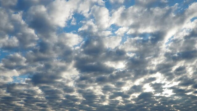 Altocumulus, middle-altitude cloud genus, stratocumuliform physical category, characterized by globular masses or rolls in layers or patches being larger and darker. Airmass instability. Real time.