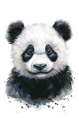 Obraz premium Panda painted watercolor illustration