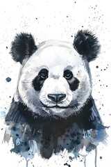 Panda painted watercolor illustration