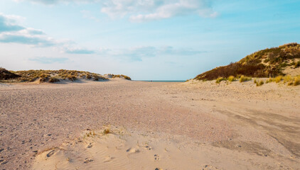 Beautiful Dutch beach in spring 