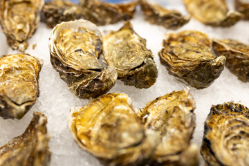 Fresh Oysters on the counter on ice in store. Oysters for sale at the seafood market. Aphrodisiac sea restaurant, expensive fresh food, dish menu