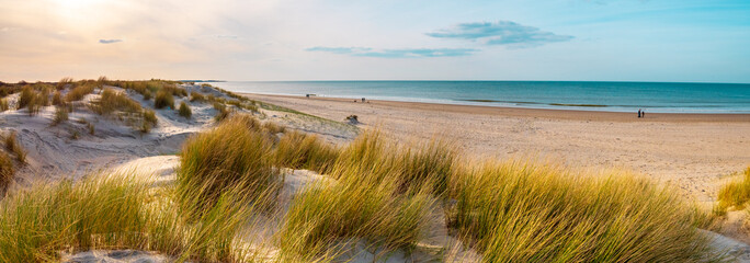 Beautiful dutch coastline at Texel island, Netherlands, in spring at sunset 