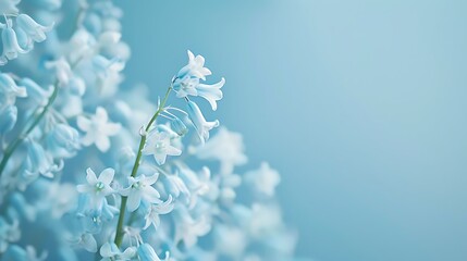 flower, background, floral, nature, rose, design, pink, plant, wedding, beauty, leaf, summer, pastel, botanical, art, card, decoration, pattern, vector, beautiful, blossom, spring, colours, elegant, r