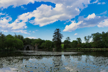 lake in the forest