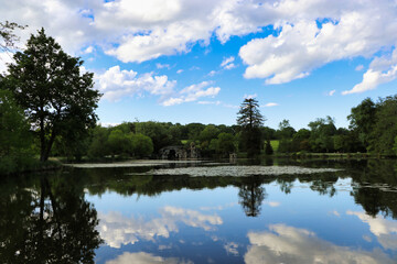 reflection of trees in water