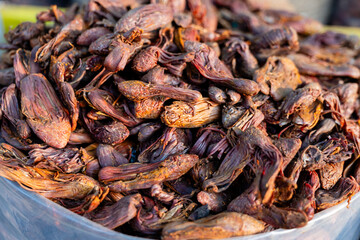 Aromatic Mace Spice Culinary Delight and Medicinal Ingredient