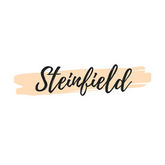 Steinfield text vector design illustration on white background