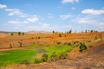 Typical Madagascar landscape rice terrace fields