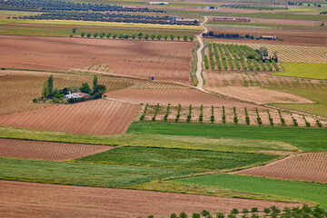 Aerial view of agricultural fields