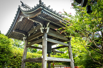 hasedera temple, hase-dera, kamakura, tree, japan, buddhist temple