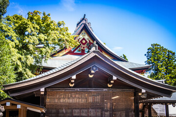 Naklejka premium tsurugaoka hachiman-gu, shinto shrine, kamakura, japan, worship, vermillion