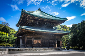 Fototapeta premium tsurugaoka hachiman-gu, shinto shrine, kamakura, japan, worship,