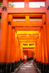 fushimi inari taisha, fushimi inari, kyoto, torii, gates, vermilion, pathway, japan, temple, shrine