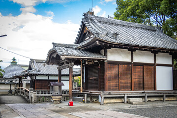 to-ji, toji temple, kyoto, pagoda, five-storied pagoda, buddhist, japan