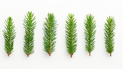 Green Pine Needles Isolated on White Background, Generative AI