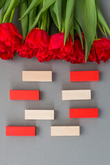 Background for a postcard, red tulips on a gray background. wooden cubes for inscriptions
