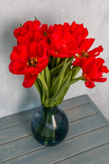bouquet of red Tulips in a blue glass vase on a blue background	
