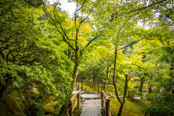 ginkaku-ji temple, ginkakuji, silver pavilion, kyoto, japan, buddhism, pond, japanese garden