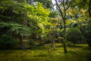 ginkaku-ji temple, ginkakuji, silver pavilion, kyoto, japan, buddhism, pond, japanese garden