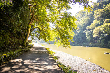 arashiyama park, katsura river, kyoto, japan, river, nature, park