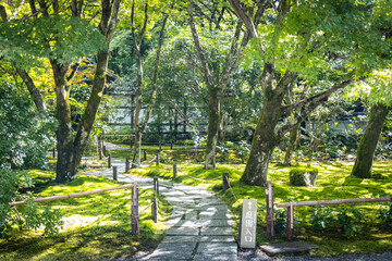 moss temple, saihoji, saiho-ji, kokedera, temple, kyoto, moss, world heritage, tranquility, japan, 