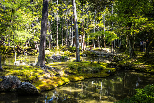 moss temple, saihoji, saiho-ji, kokedera, temple, kyoto, moss, world heritage, tranquility, japan, 