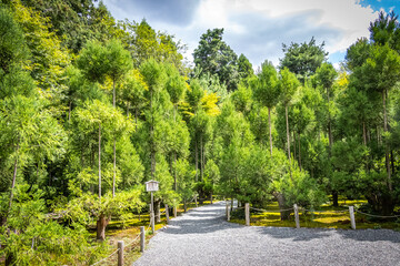 Ryoanji, ryoan-ji temple, temple, kyoto, temple building,  japan, zen, tourism, forest
