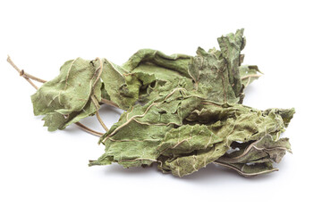 Close-up of Dry Gymnema or Gurmar (Gymnema sylvestre) leaves, isolated on a white background. Front...
