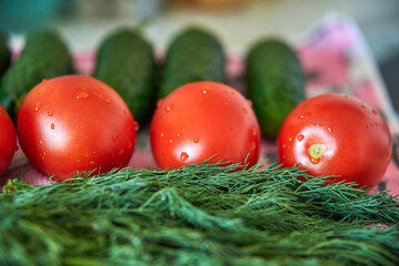 Tomatoes, cucumbers and green dill close-up, fresh harvest, preparation for salad, diet food