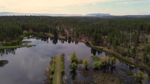 JD Dam Lake Aerial Views, Northern Arizona, America, USA.
