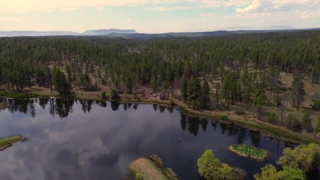 JD Dam Lake Aerial Views, Northern Arizona, America, USA.