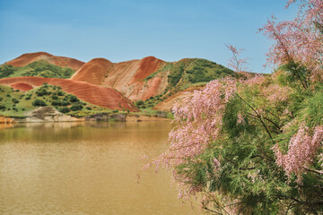 Spring flowering bush against the backdrop of a mountain lake and red hills, unique colors of a spring valley, a trip to popular places in Georgia, copy space for a concept