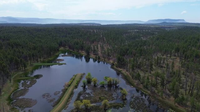 JD Dam Lake Aerial Views, Northern Arizona, America, USA.
