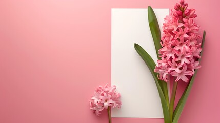 Obraz premium Pink flowers on a pastel pink background with white paper. Stylish and minimal floral arrangement. Perfect for stock photos and invitations. AI