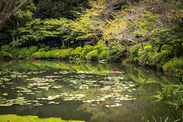 Umi Jigoku, 7 hells of beppu, jigoku, hot springs, kyushu, japan, sea hell, asia