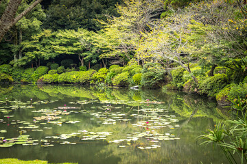 Umi Jigoku, 7 hells of beppu, jigoku, hot springs, kyushu, japan, sea hell, asia