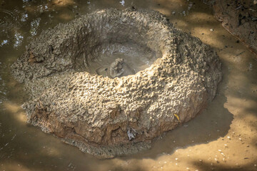 Oniishibozu Jigoku, 7 hells of beppu, jigoku, hot springs, kyushu, japan, mud hell, asia