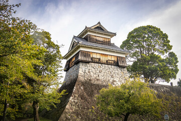 Fototapeta premium kumamoto castle, newly restored, japanese culture, samurai, kumamoto, japan, asia