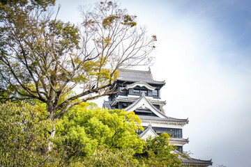 kumamoto castle, newly restored, japanese culture, samurai, kumamoto, japan, asia