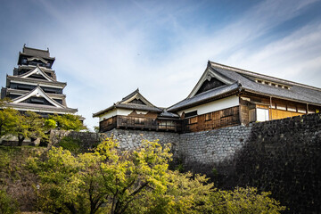 Naklejka premium kumamoto castle, newly restored, japanese culture, samurai, kumamoto, japan, asia