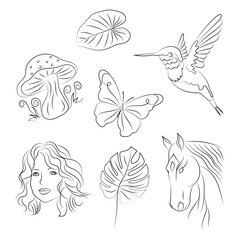 Pack de recursos gráficos siluetas arte lineal naturaleza animales plantas a mano alzada vector