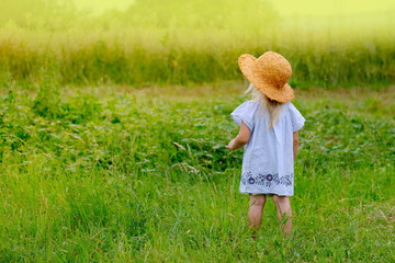 little child 3 years old, girl in straw hat, in blue dress in green field, concept of happy...