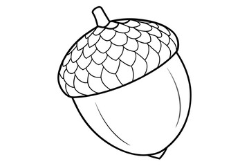 acorn line art vector illustration